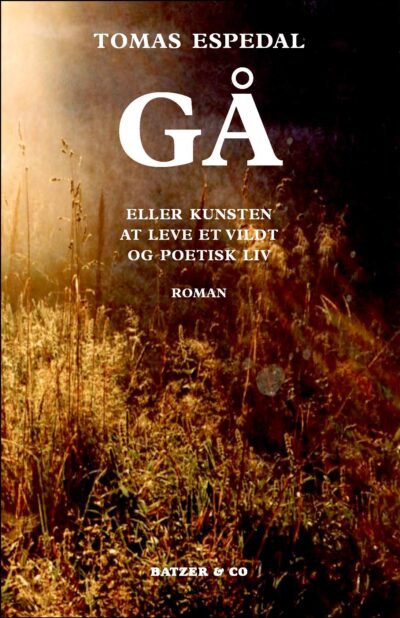 Gå. Eller kunsten at leve et vildt og poetisk liv