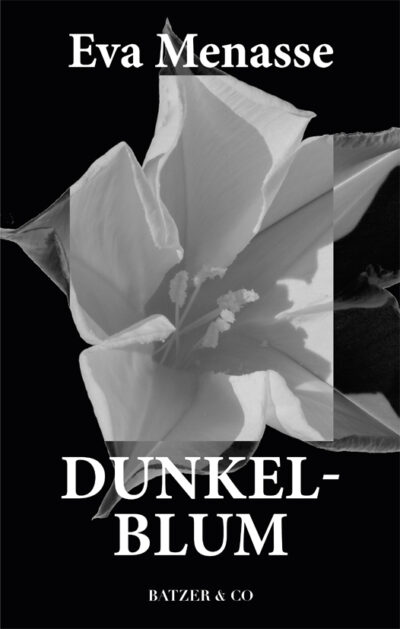 Dunkelblum
